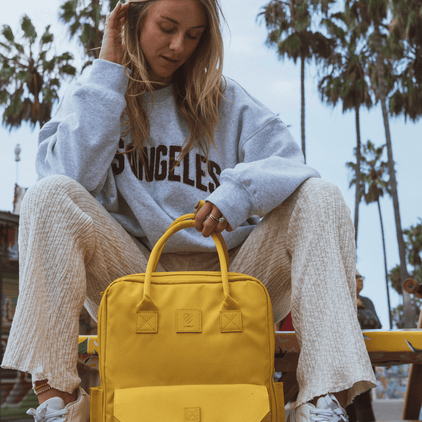 Sierra Camera Backpack Image